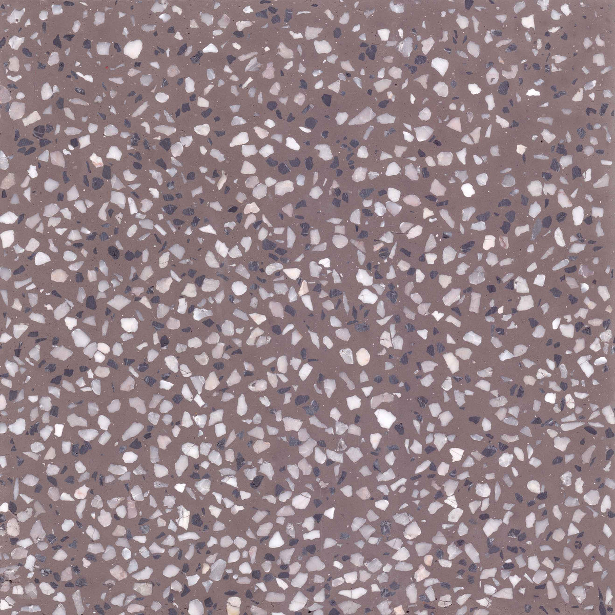 TERRAZZO C609 taupe 20X20 raw
